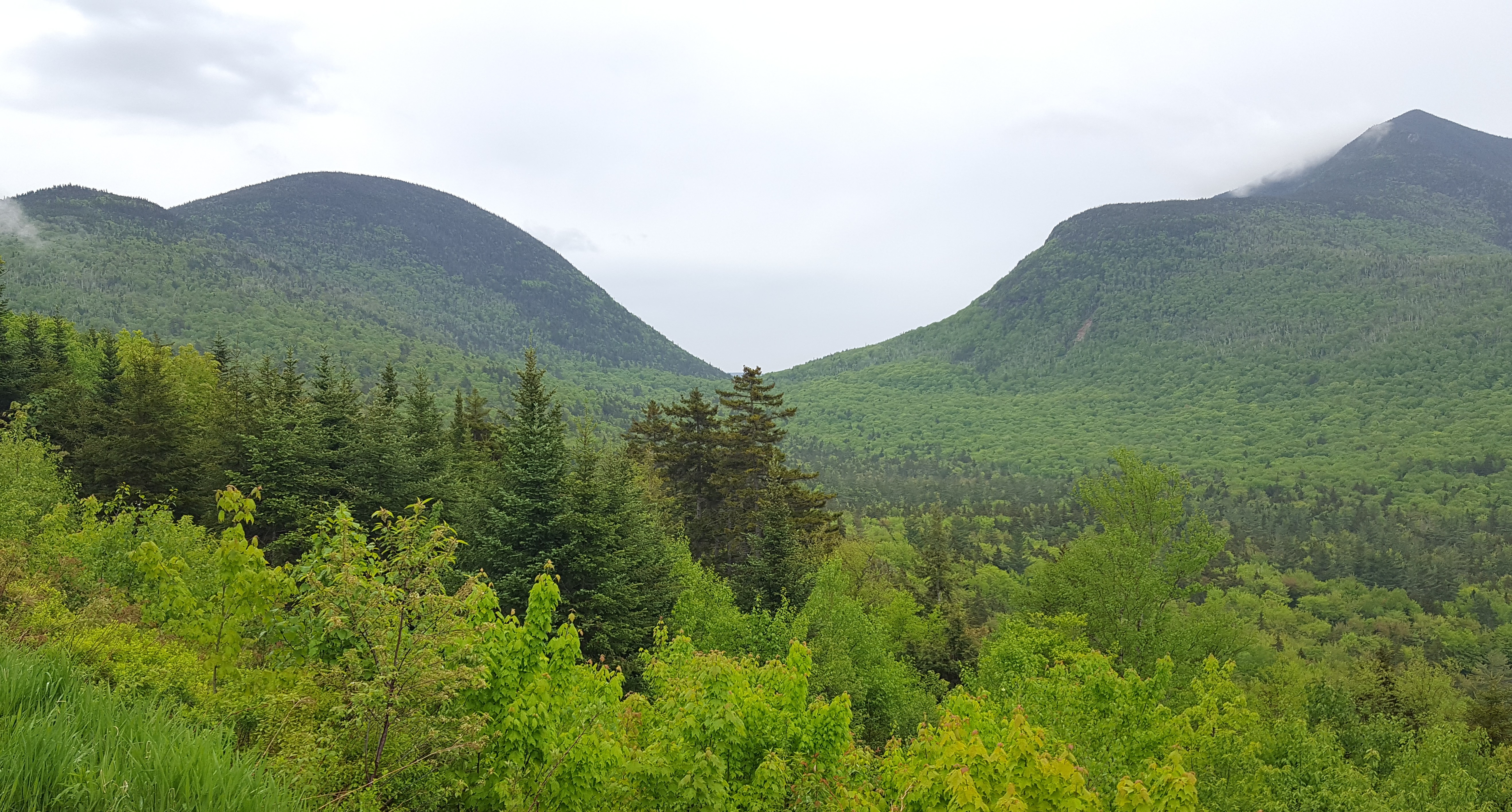 Kancamagus Scenic Byway view in summer