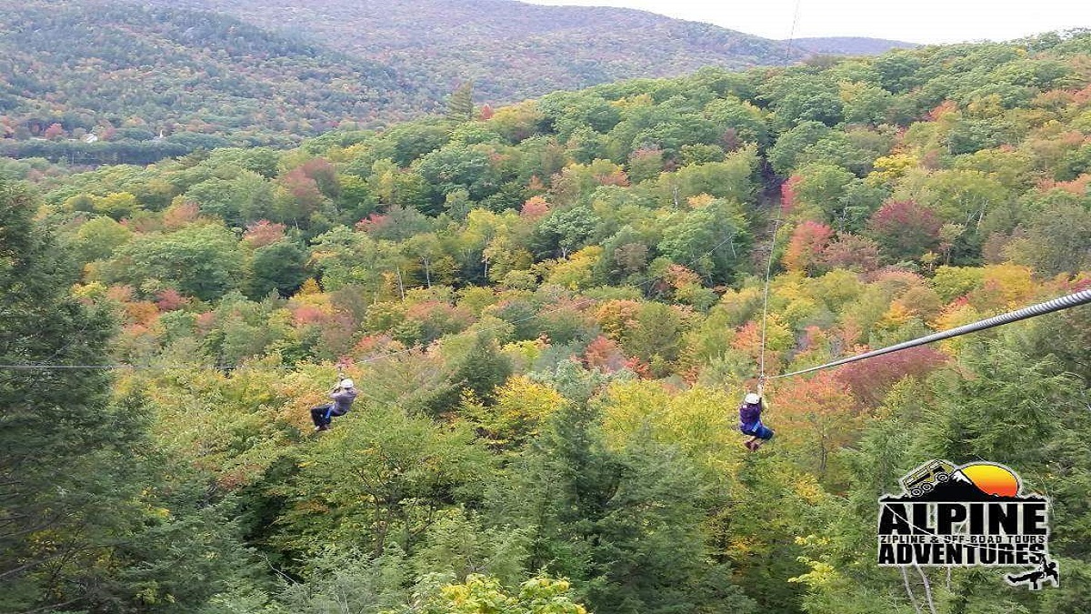 People on ziplines above a forest canopy