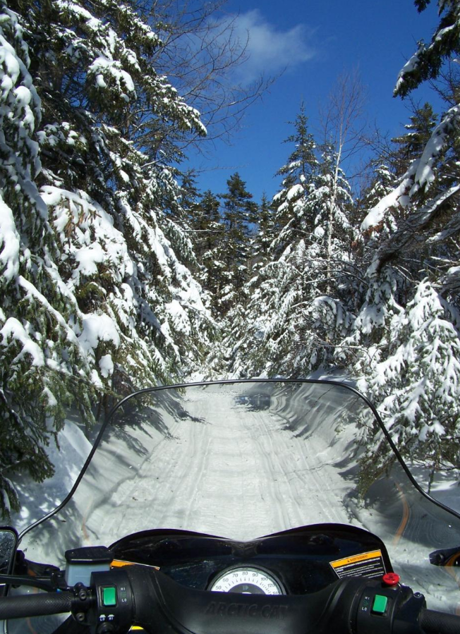 Snowmobile on a forest trail