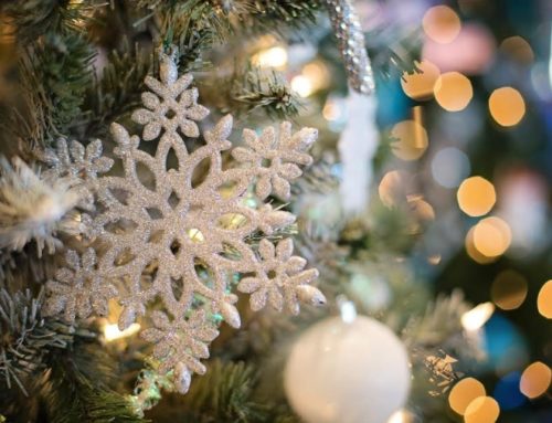 Christmas Tree Packages: Start a New Family Tradition!